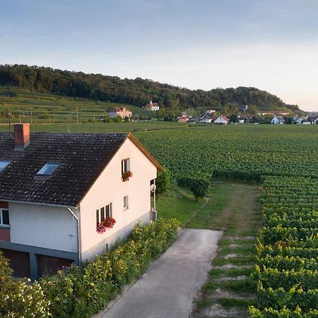 Ferienwohnung Mit 65Qm Niederrotweil Exterior foto