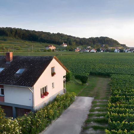 Ferienwohnung Mit 65Qm Niederrotweil Exterior foto